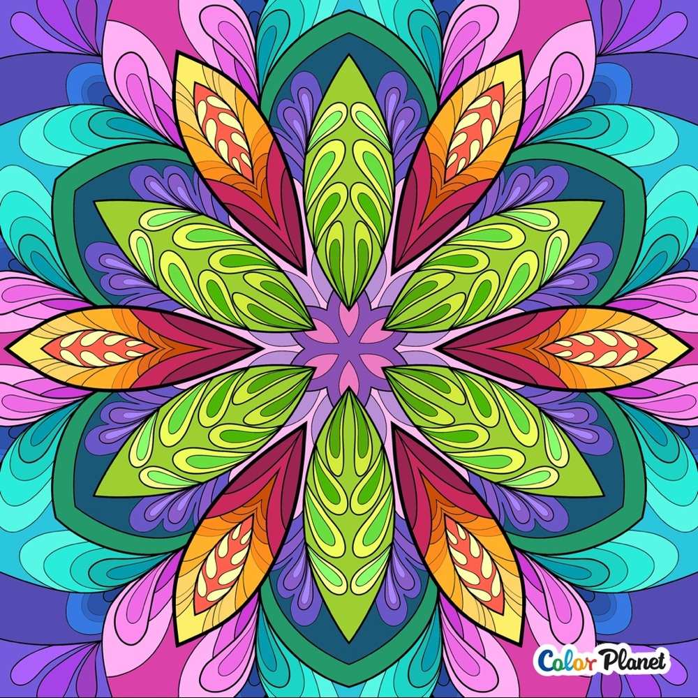 Meet your Posher, Helena